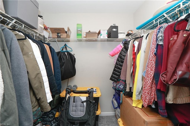 spacious closet featuring carpet