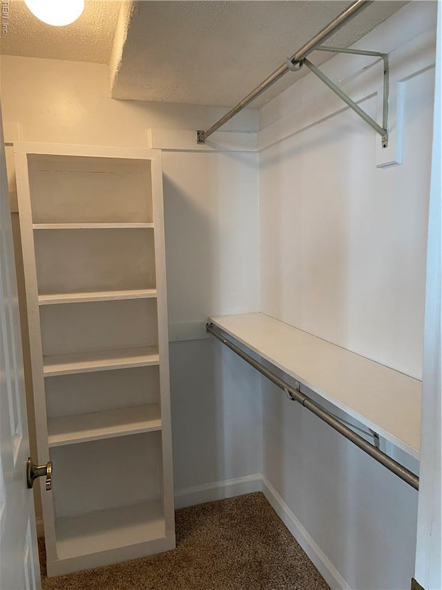 spacious closet featuring dark colored carpet