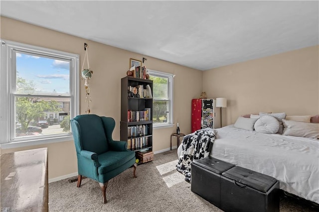 1206 Mabry Mill Pl, Chesapeake, VA 23320 - carpeted bedroom featuring baseboards