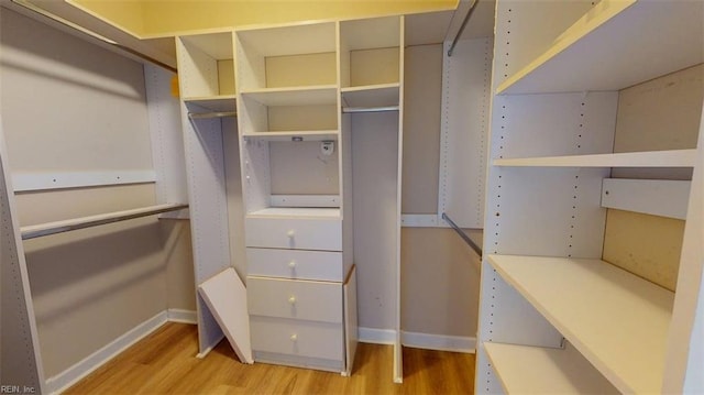 301 Brooke Ave Unit 105, Norfolk, VA 23510 - walk in closet with wood finished floors