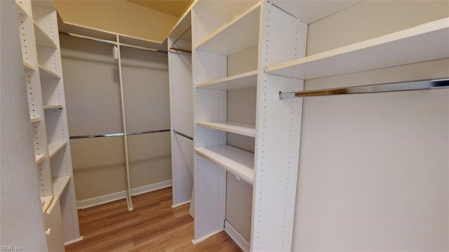301 Brooke Ave Unit 105, Norfolk, VA 23510 - walk in closet with wood finished floors