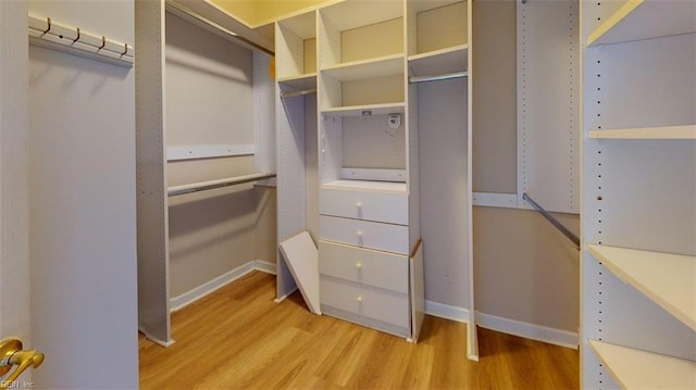 301 Brooke Ave Unit 105, Norfolk, VA 23510 - spacious closet featuring light wood-style flooring