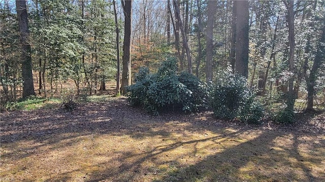 view of local wilderness