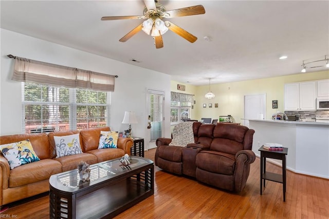 106 Elm Tree Ct, Suffolk, VA 23435 - living room featuring light wood finished floors, visible vents, and ceiling fan