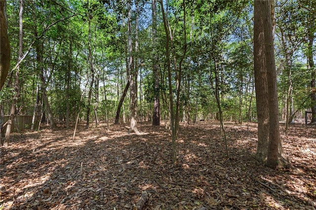 106 Elm Tree Ct, Suffolk, VA 23435 - view of local wilderness