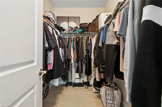 walk in closet featuring carpet