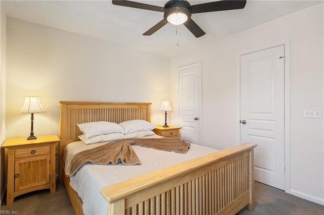 209 Cobblestone Reach Reach, Suffolk, VA 23435 - bedroom with dark colored carpet and a ceiling fan