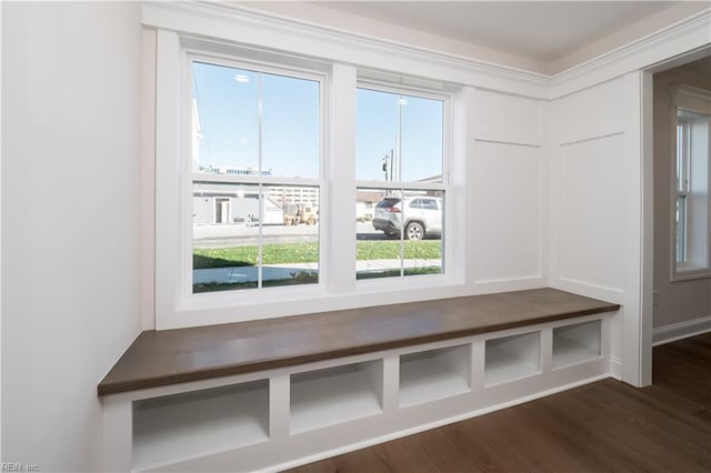 mudroom with dark wood-type flooring and a healthy amount of sunlight