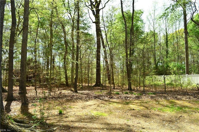 view of nature with a wooded view