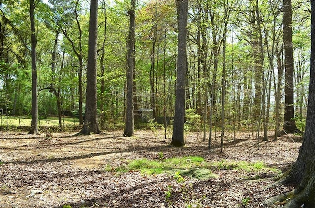 view of local wilderness featuring a view of trees