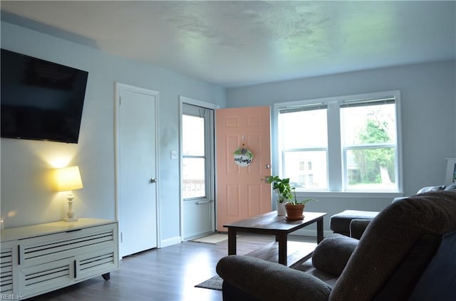 living room with wood finished floors and a healthy amount of sunlight