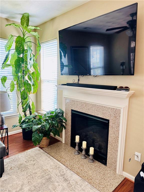 room details featuring baseboards, wood finished floors, and a premium fireplace
