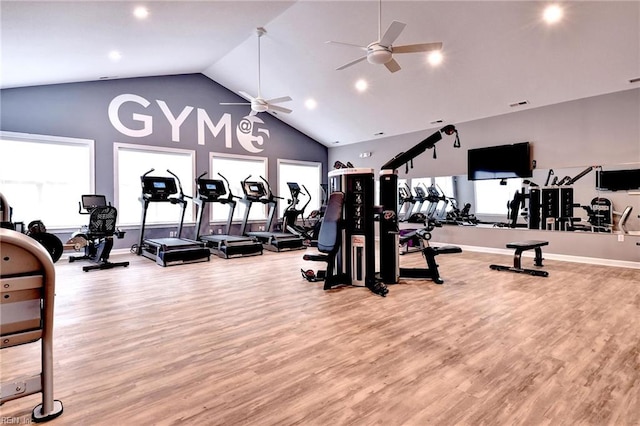 1208 Kings Land Ct, Williamsburg, VA 23185 - gym featuring a wealth of natural light, light wood finished floors, and ceiling fan