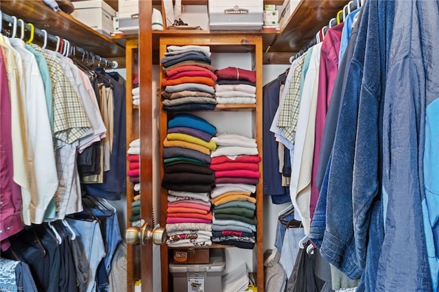 view of walk in closet