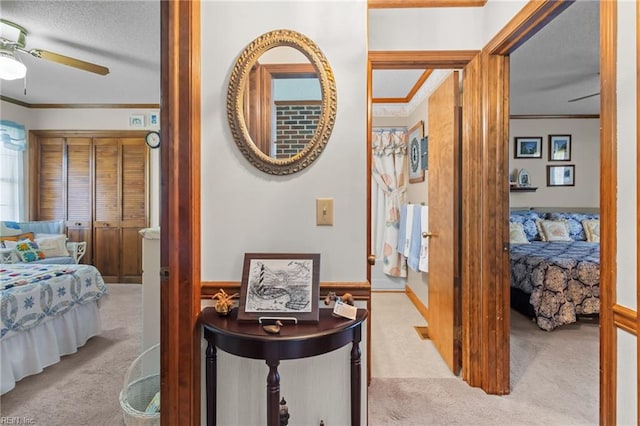 hallway featuring wainscoting, a textured ceiling, ornamental molding, and carpet floors
