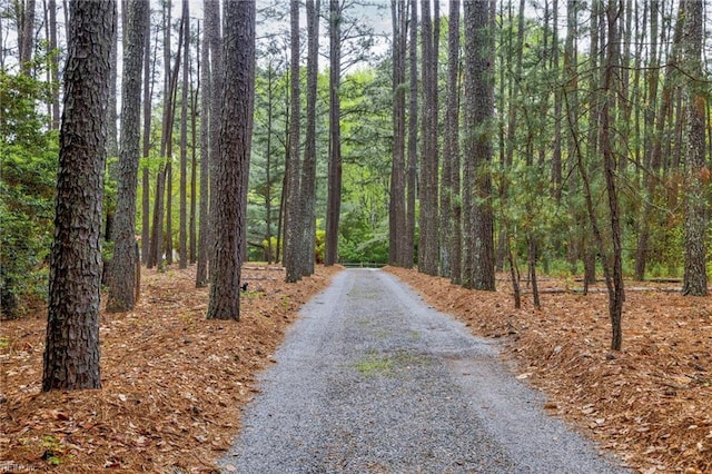 view of road with a wooded view