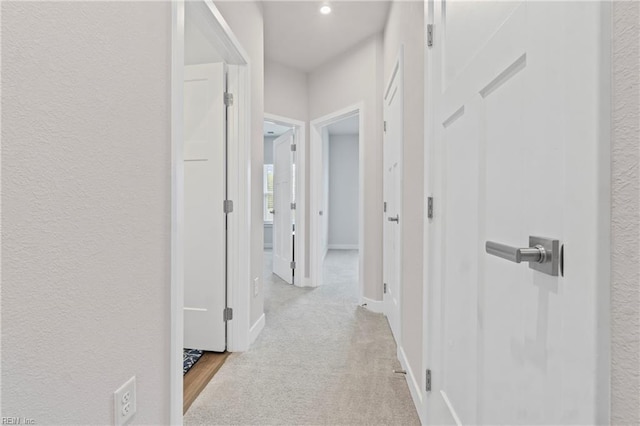 hall featuring baseboards and carpet flooring
