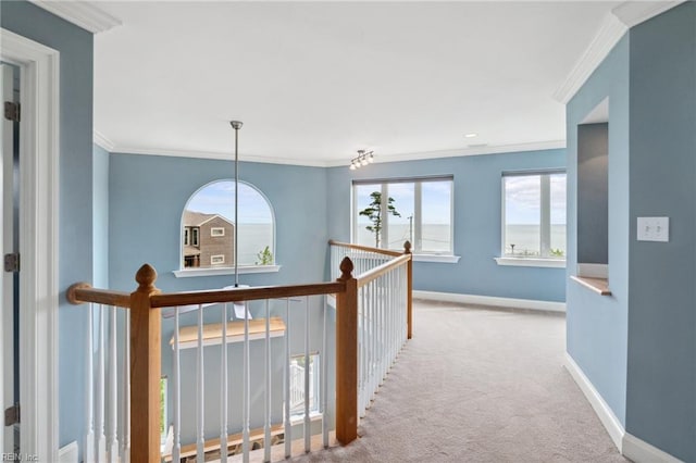 89 Sandy Bay Dr, Poquoson, VA 23662 - hallway with baseboards, carpet floors, ornamental molding, and a healthy amount of sunlight