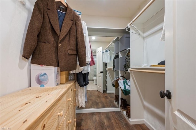spacious closet featuring wood finished floors