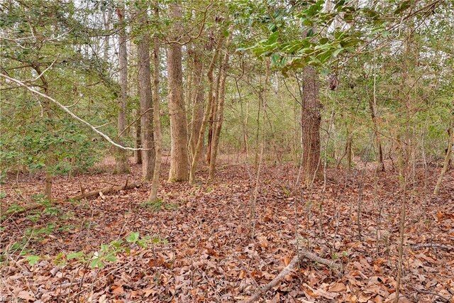 LotB Lonesome Pine Trail, Lancaster, VA 22503