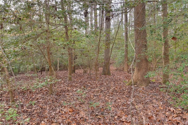 LotB Lonesome Pine Trail, Lancaster, VA 22503