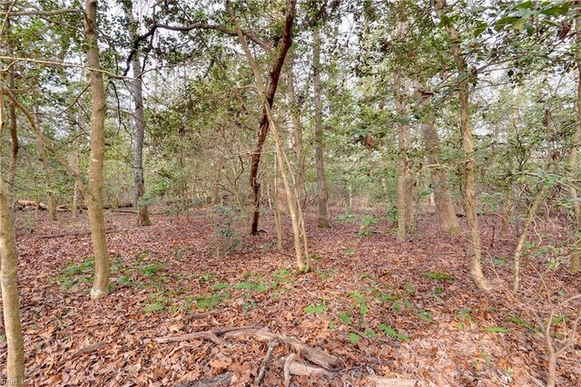 LotB Lonesome Pine Trail, Lancaster, VA 22503