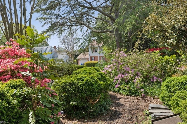 24 Holly Dr, Newport News, VA 23601 - view of yard