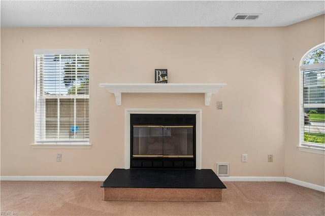 5201 Bardith Cir, Virginia Beach, VA 23455 - detailed view of carpet floors, a glass covered fireplace, and baseboards
