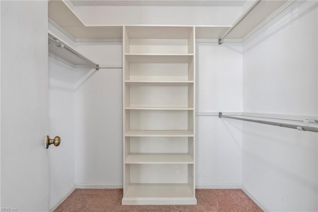 5201 Bardith Cir, Virginia Beach, VA 23455 - spacious closet featuring carpet floors