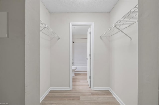 spacious closet featuring light wood-style floors