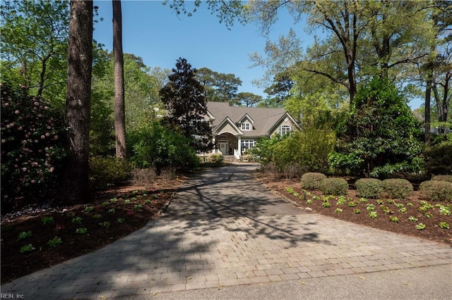 view of front of house featuring decorative driveway