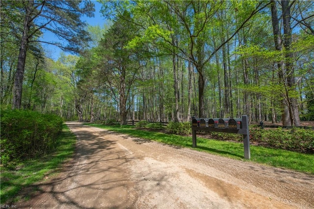 view of road with a view of trees
