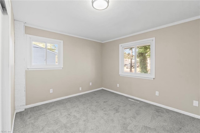 spare room featuring carpet, a wealth of natural light, baseboards, and ornamental molding