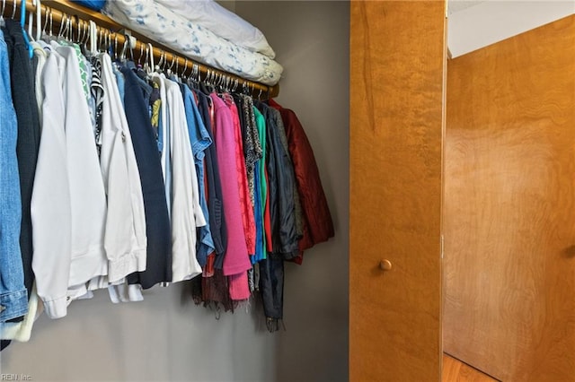 view of spacious closet