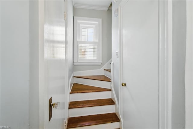 stairs featuring ornamental molding