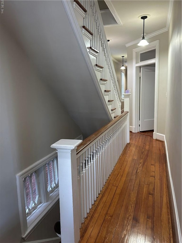 hallway with crown molding, baseboards, and wood-type flooring
