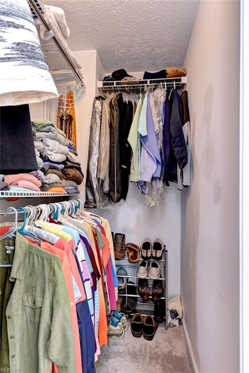 spacious closet featuring carpet