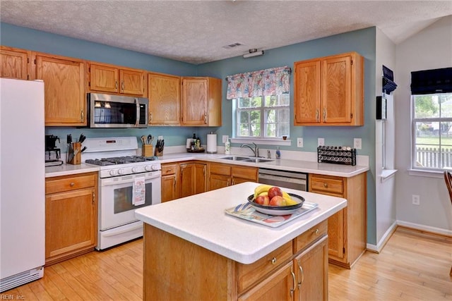 kitchen featuring appliances with stainless steel finishes, a sink, light wood-type flooring, and a healthy amount of sunlight