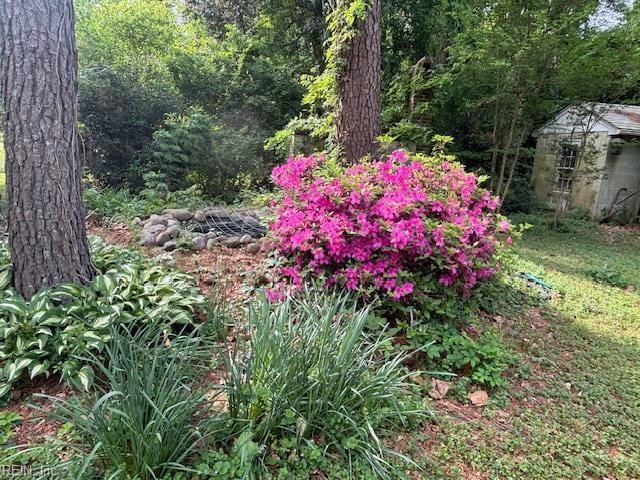 26060 Court St, Courtland, VA 23837 - view of yard with a view of trees