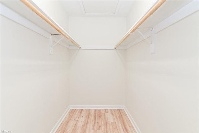 spacious closet with wood finished floors