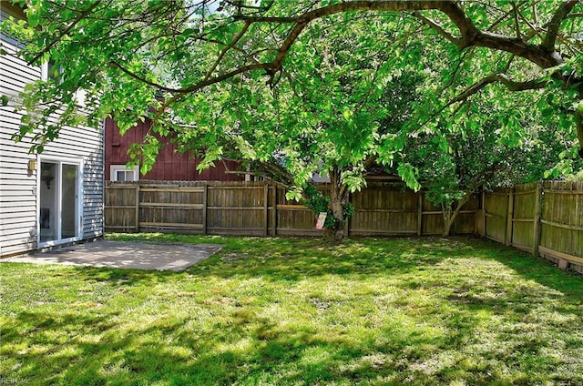 view of yard featuring a fenced backyard and a patio