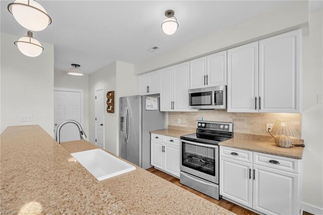 kitchen with stainless steel appliances, wood finished floors, a sink, and tasteful backsplash