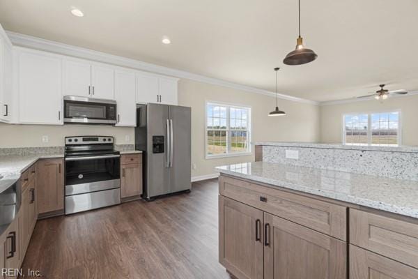 kitchen featuring dark wood-style flooring, a wealth of natural light, appliances with stainless steel finishes, and crown molding