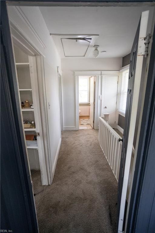 corridor featuring attic access, baseboards, and carpet