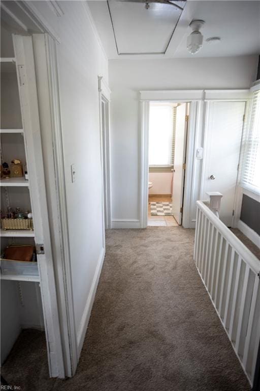 hallway featuring baseboards and carpet