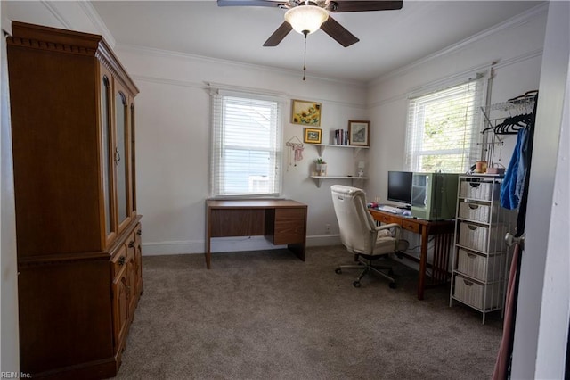 carpeted office space with baseboards, a ceiling fan, and crown molding