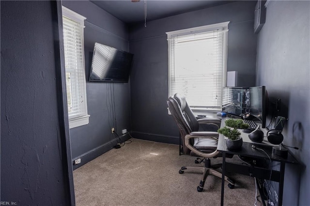 home office with carpet floors