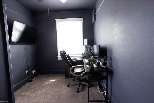 home office with carpet