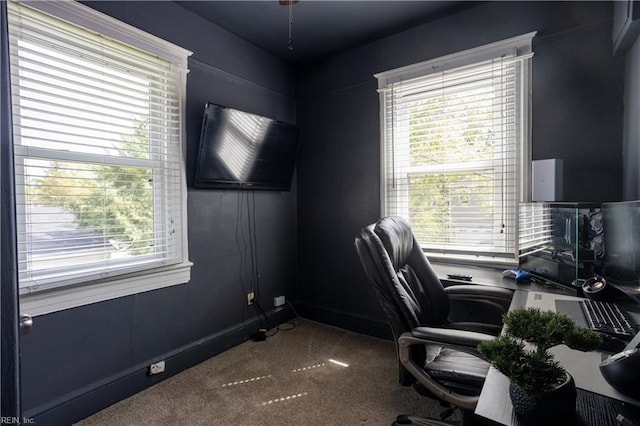carpeted office featuring a healthy amount of sunlight