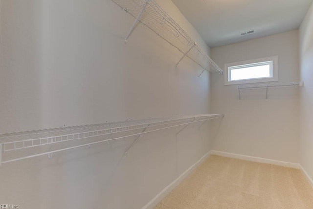 spacious closet with light colored carpet